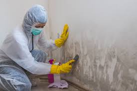 Best Commercial Mold Inspection  in Muttontown, NY